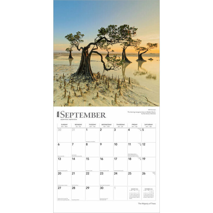 Calendrier 2025 Arbres Gants et Majestueux