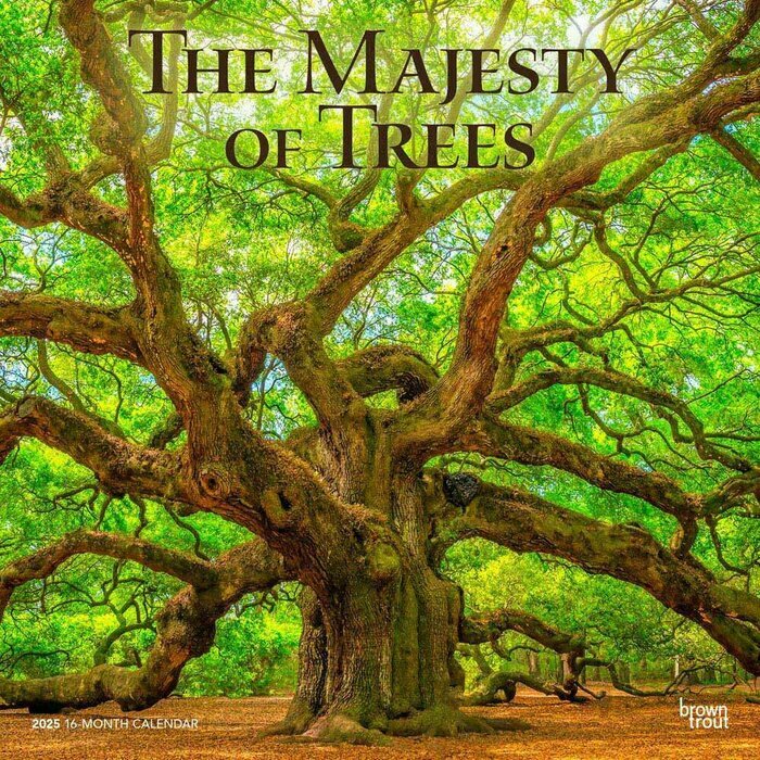 Calendrier Mural 2025 Arbres Géants et Majestueux