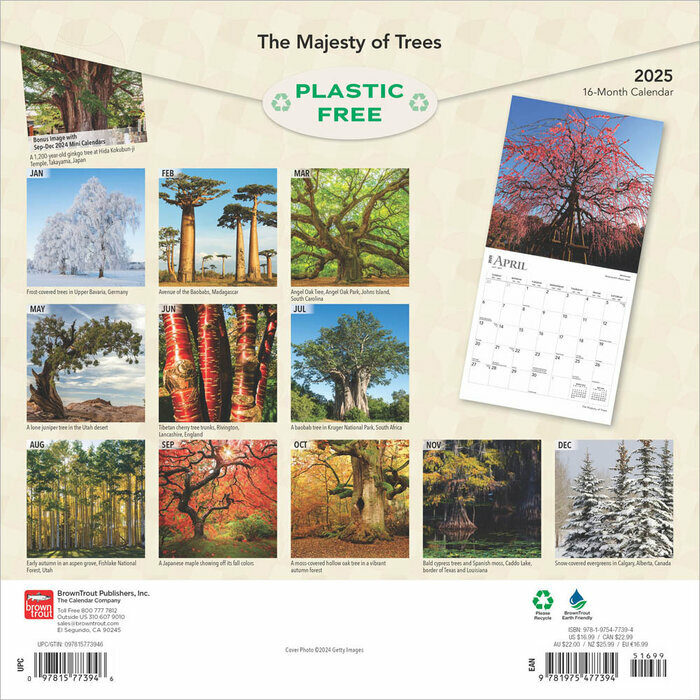 Calendrier Papier 2025 Arbres Géants et Majestueux