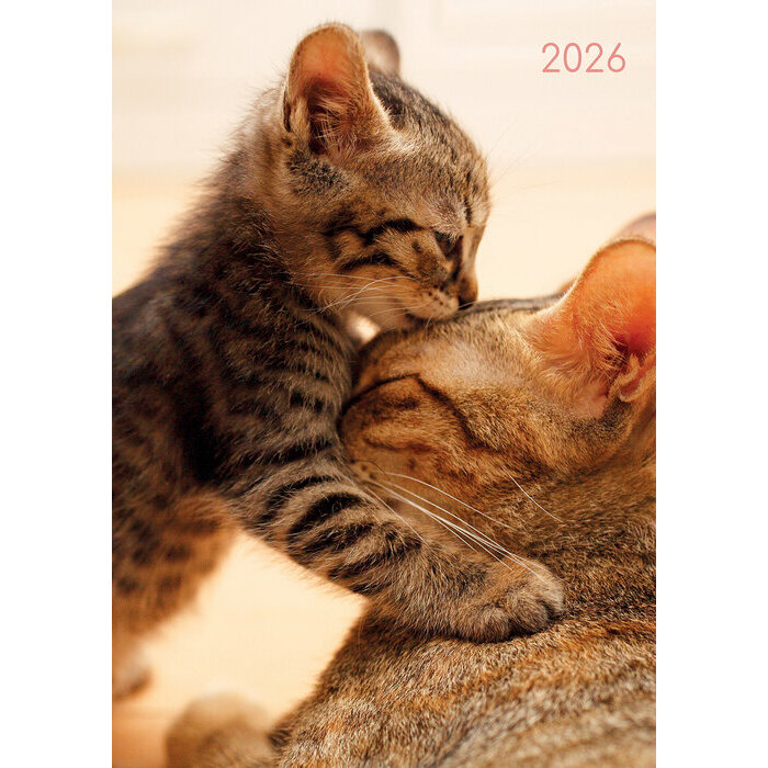 Agenda Chat et Chaton 2026