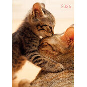 Agenda Chat et Chaton 2026