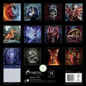 Calendrier Mural 2026 Dragons Anne Stokes Fantastiques