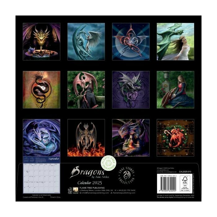 Calendrier papier 2025 Dragons Anne Stokes Fantastiques