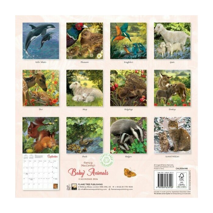 Calendrier papier 2025 Dessins Bbs Animaux Sauvages