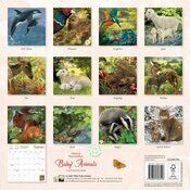 Calendrier papier 2025 Dessins Bbs Animaux Sauvages