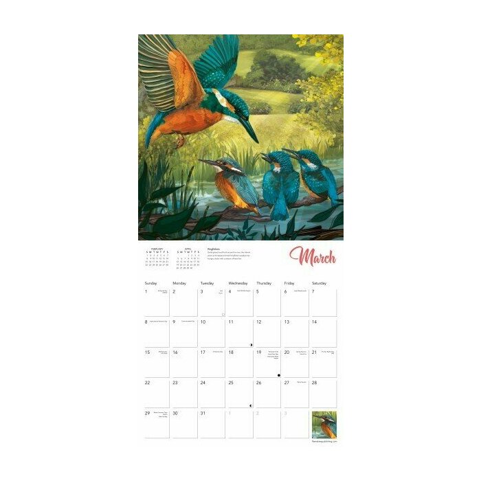 Calendrier 2025 Dessins Bbs Animaux Sauvages