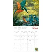 Calendrier 2025 Dessins Bbs Animaux Sauvages