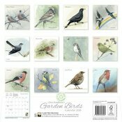 Calendrier 2026 Dessins Oiseaux du Jardin Chris Pendleton