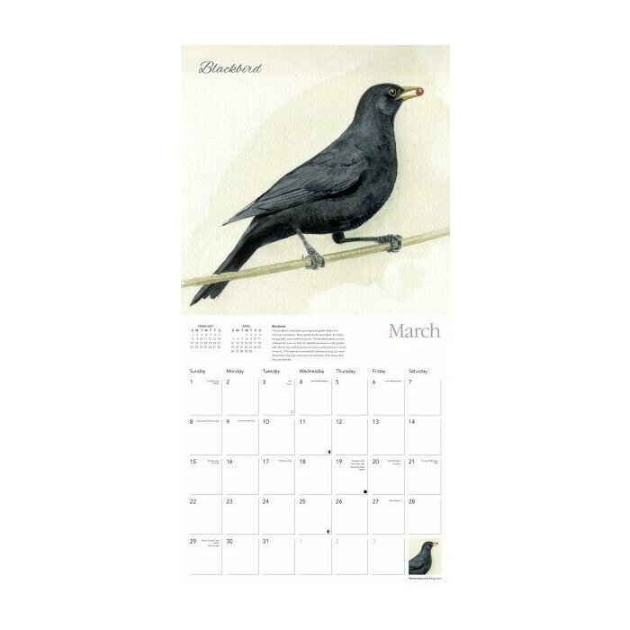 Calendrier papier 2026 Dessins Oiseaux du Jardin Chris Pendleton