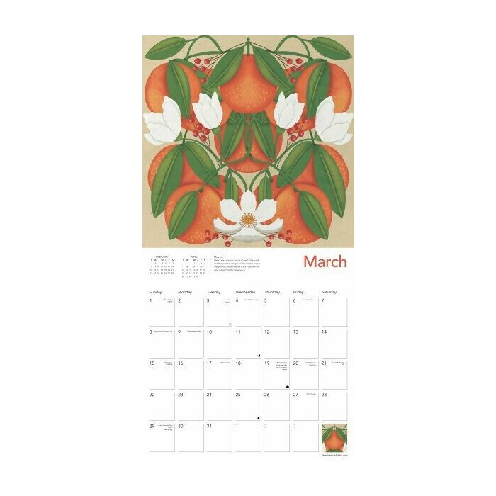 Calendrier 2025 Art Designer Nina Pace