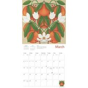 Calendrier 2025 Art Designer Nina Pace