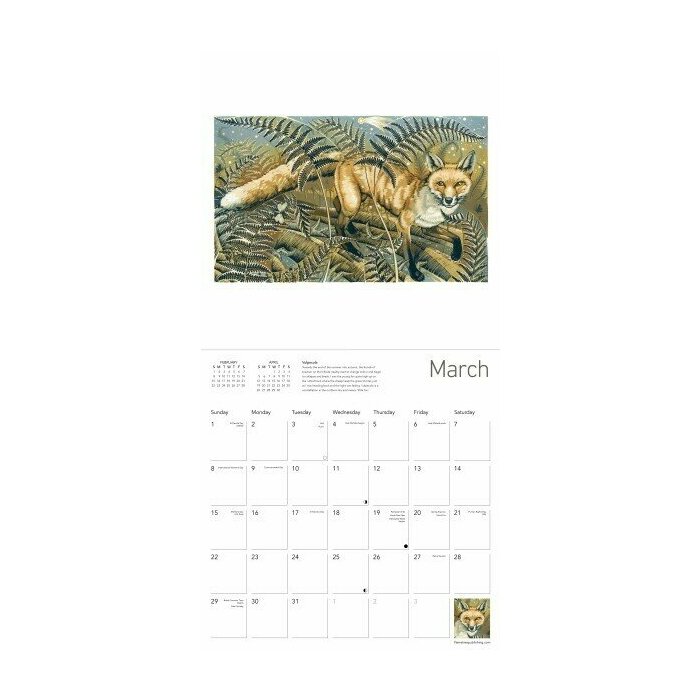 Calendrier 2025 Animaux Fort Martin Truefitt-Baker