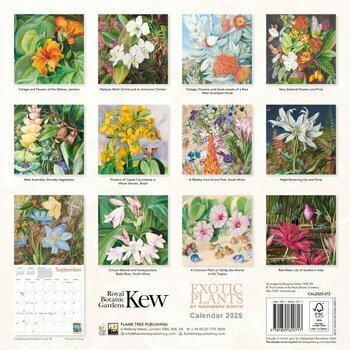 Calendrier 2025 Dessins Fleurs Exotiques Marianne North Calendrier 2025 Dessins Fleurs Exotiques Marianne North