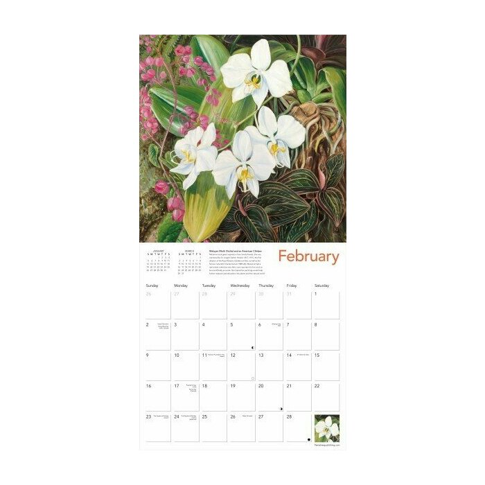 Calendrier 2025 Dessins Fleurs Exotiques Marianne North