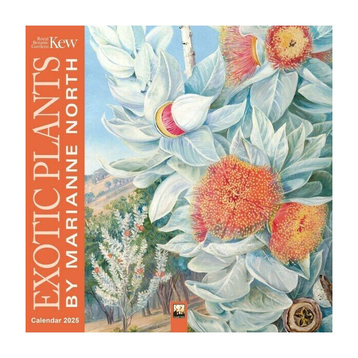 Calendrier Mural 2025 Dessins Fleurs Exotiques Marianne North