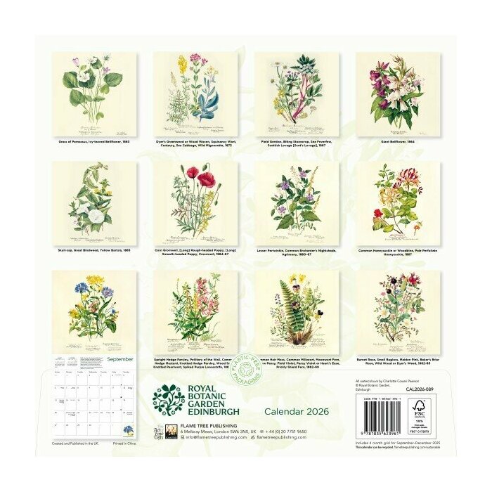 Calendrier Papier 2025 Dessins Fleurs Botanique Jardin Royal Edimbourg