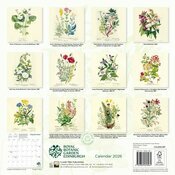 Calendrier Papier 2025 Dessins Fleurs Botanique Jardin Royal Edimbourg