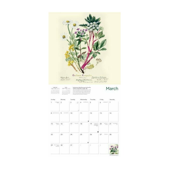 Calendrier 2025 Dessins Fleurs Botanique Jardin Royal Edimbourg