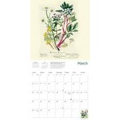 Calendrier 2025 Dessins Fleurs Botanique Jardin Royal Edimbourg