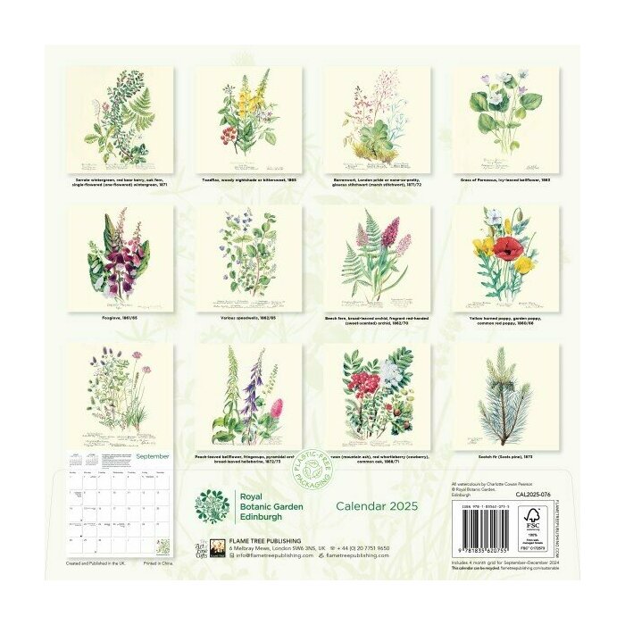 Calendrier Papier 2025 Dessins Fleurs Botanique Jardin Royal Edimbourg
