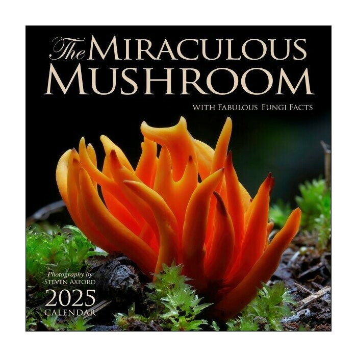 Calendrier Mural 2025 Champignons Varits Fort 