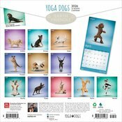 Calendrier papier 2026 Chiens Postures Yoga 