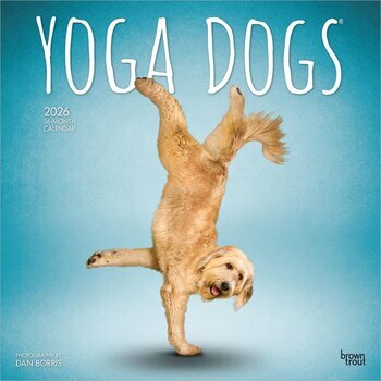 Calendrier 2026 Chiens Postures Yoga 