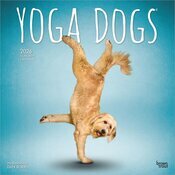 Calendrier Mural 2026 Chiens Postures Yoga 