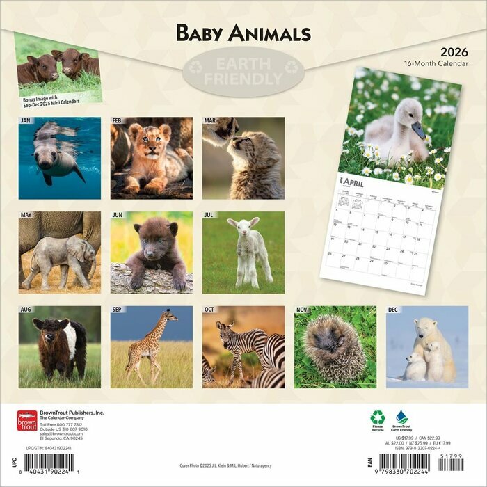 Calendrier Papier 2025 Animaux Bbs Attendrissants 
