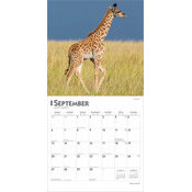 Calendrier 2025 Animaux Bbs Attendrissants 