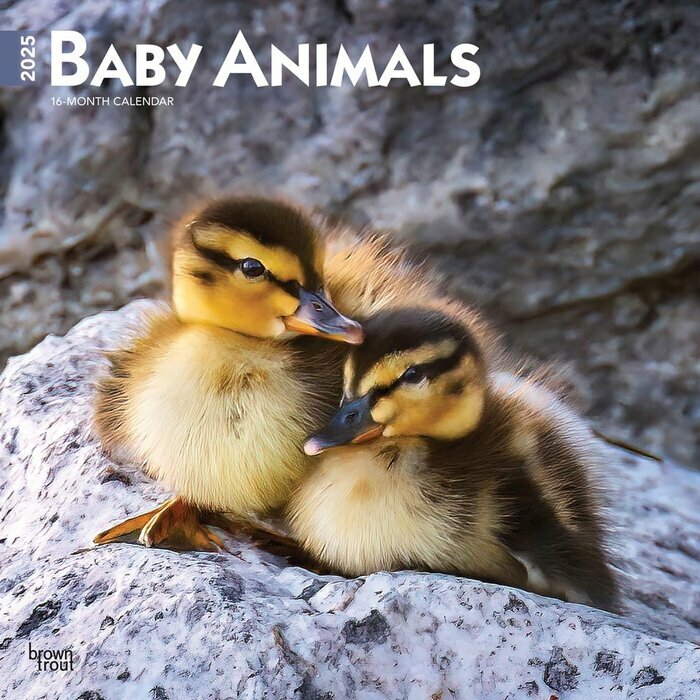 Calendrier Mural 2025 Animaux Bébés Attendrissants 