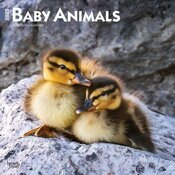 Calendrier Mural 2025 Animaux Bébés Attendrissants 