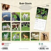Calendrier Papier 2025 Bbs Chvre Chevreaux