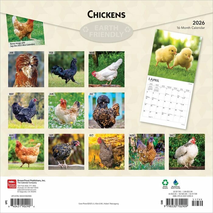 Calendrier Papier 2025 Poules Basse Cour Races