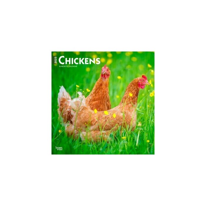 Calendrier Mural 2025 Poules Basse Cour Races