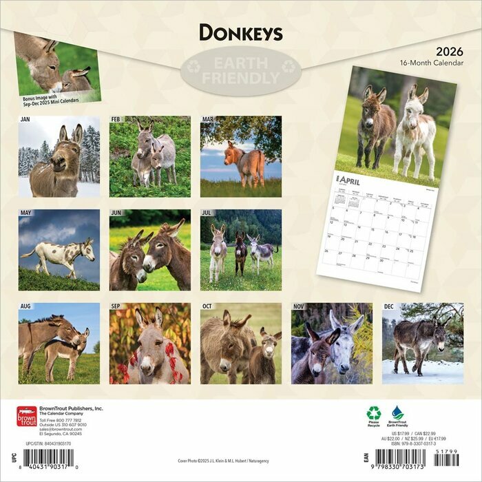 Calendrier Papier  2025 ne Baudets du Poitou