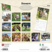 Calendrier Papier  2025 ne Baudets du Poitou