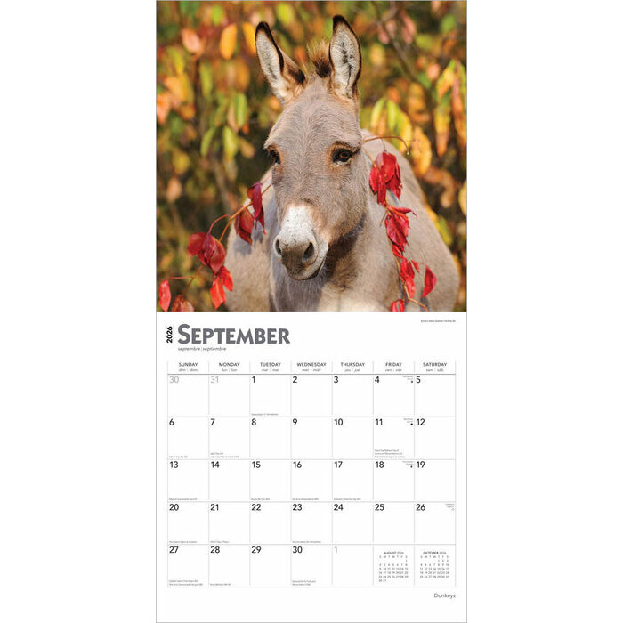 Calendrier 2025 ne Baudets du Poitou