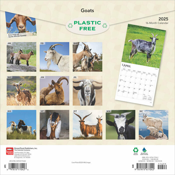 Calendrier 2025 Chèvres Boucs Chevreaux