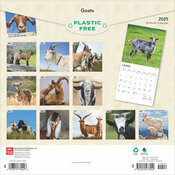 Calendrier 2025 Chèvres Boucs Chevreaux