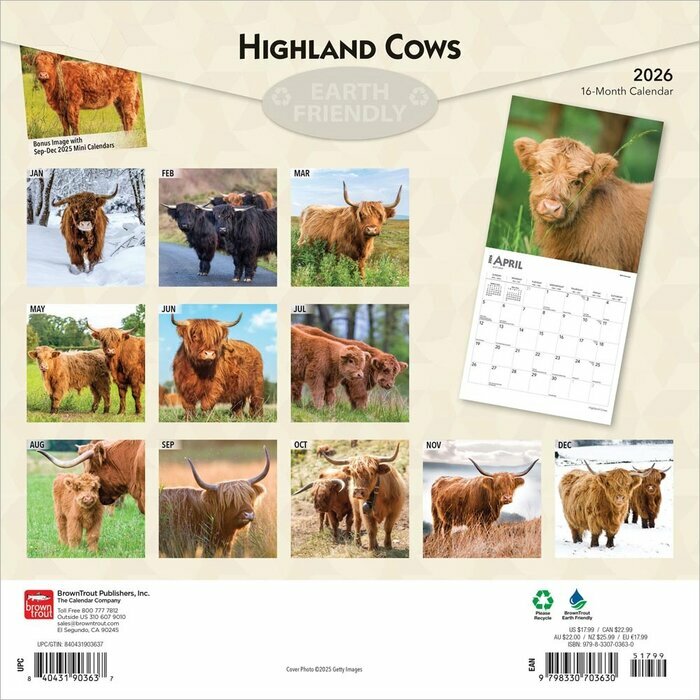 Calendrier Papier 2025 Vaches de Race Highland 