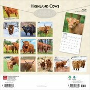 Calendrier Papier 2025 Vaches de Race Highland 