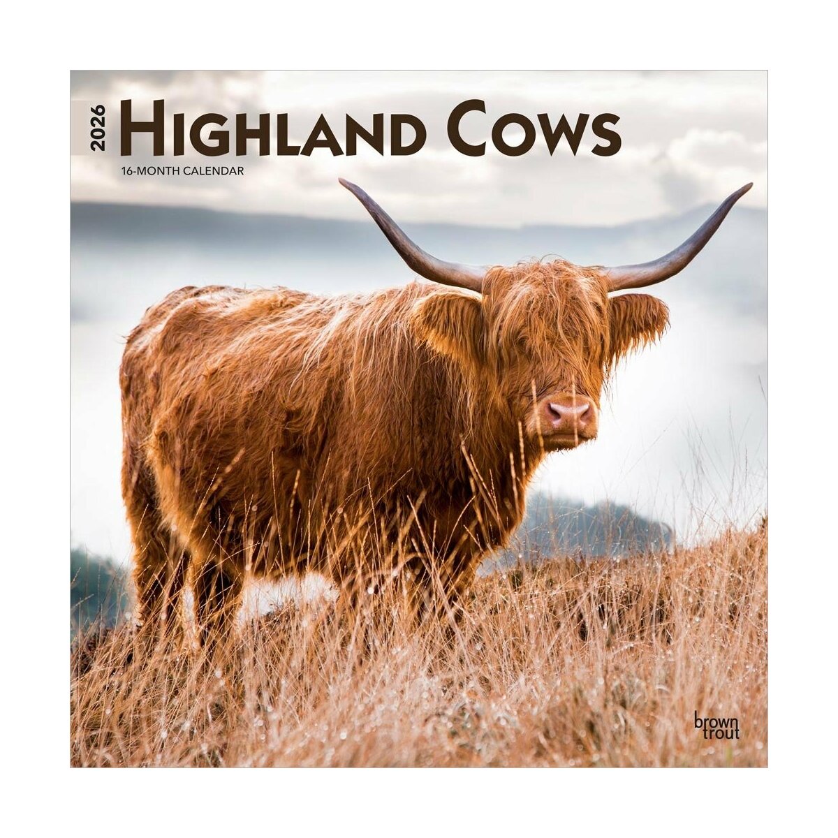 Calendrier De L'Avent 2025 Vaches Highland - 24 Figurines Acrylique à Suspendre, Décorations Noël