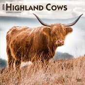 Calendrier Mural 2025 Vaches de Race Highland 