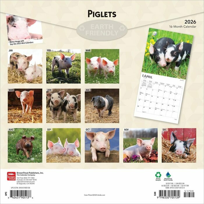 Calendrier 2026 Porcelet Cochon de la Ferme