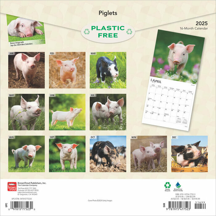 Calendrier Papier 2025 Porcelet Cochon de la Ferme