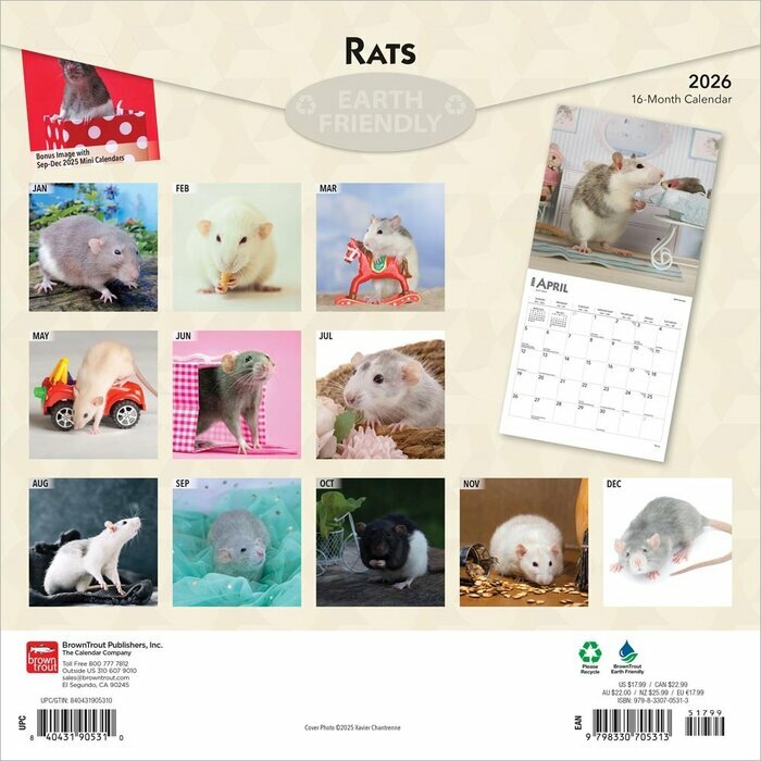 Calendrier Papier 2025 Nacs Rongeurs Rats