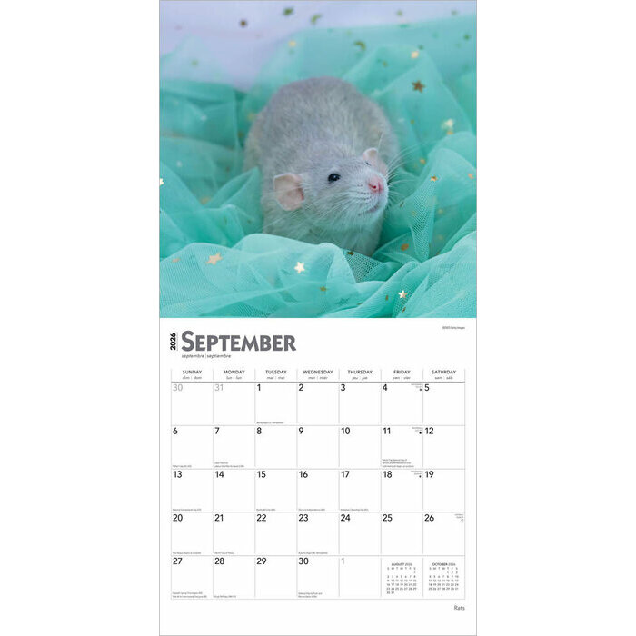 Calendrier 2025 Nacs Rongeurs Rats