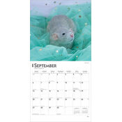 Calendrier 2025 Nacs Rongeurs Rats