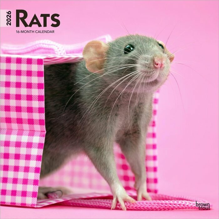 Calendrier Mural 2025 Nacs Rongeurs Rats